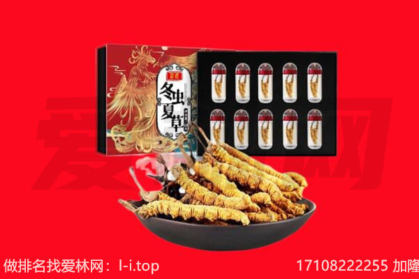 华州区回收虫草.jpg